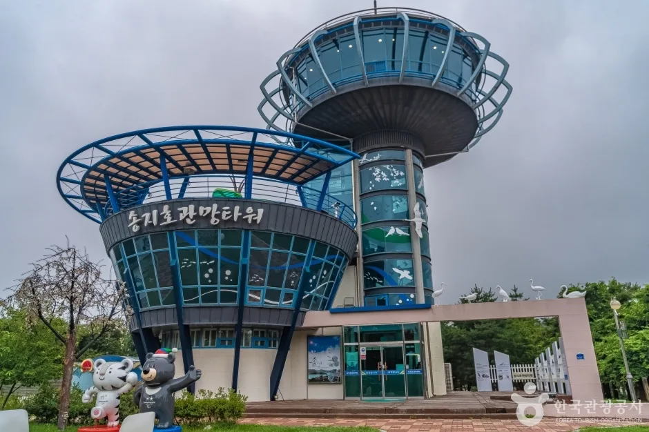 강원도_고성_송지호둘레길 (7)
