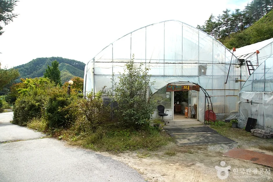 홍천 아로마 허브동산 (5)