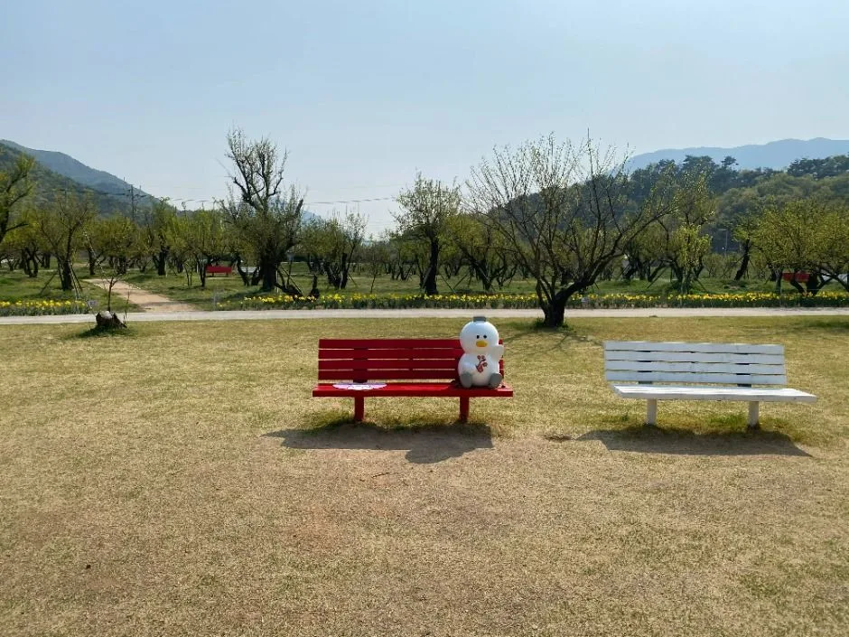 김해_용당나루 매화공원 (4)