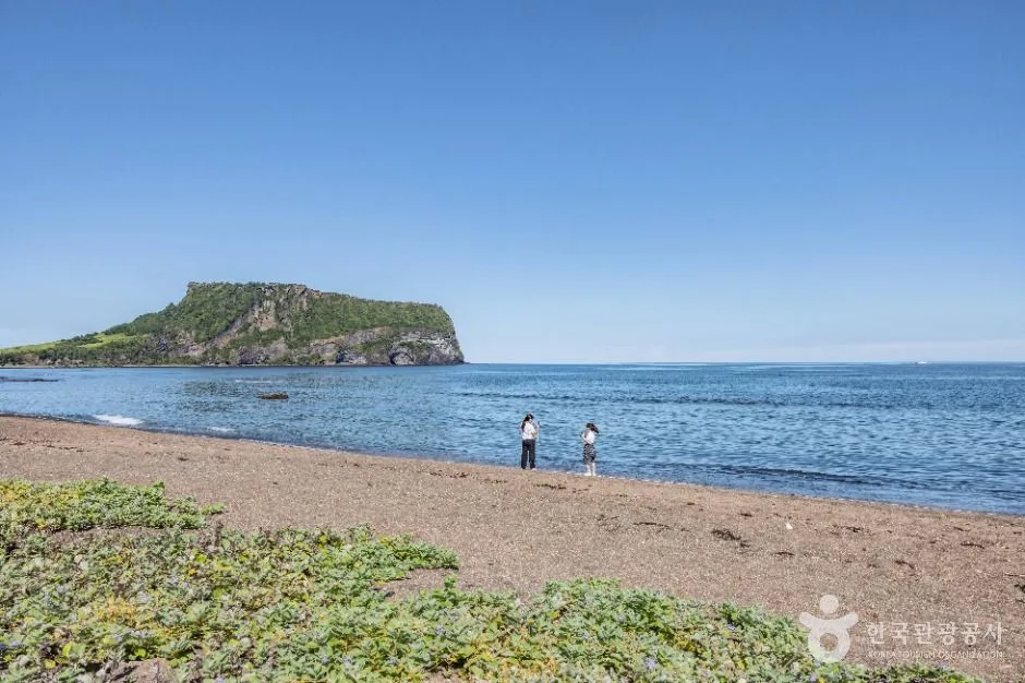 제주_성산포JC공원 (7)