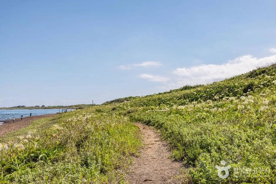 제주_성산포JC공원 (6)