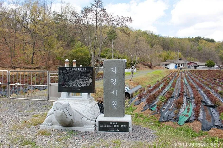 영천_덕강서원 (5)