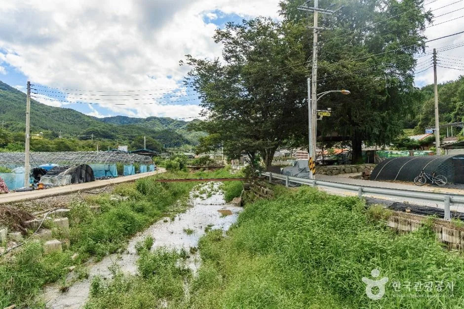 무주_치목삼베마을 (4)