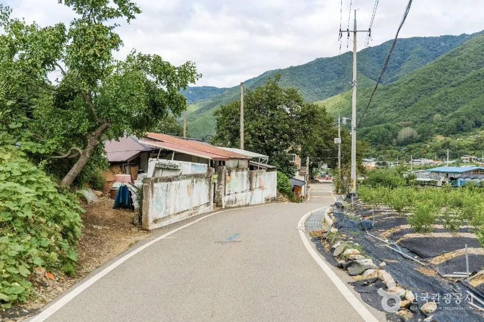 무주_치목삼베마을 (3)