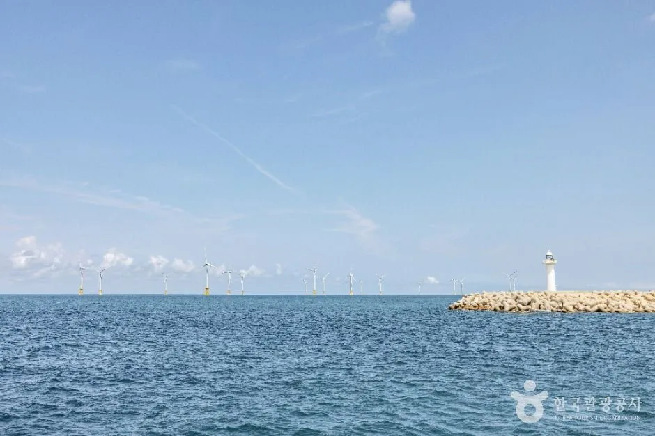 제주_한림항 (7)