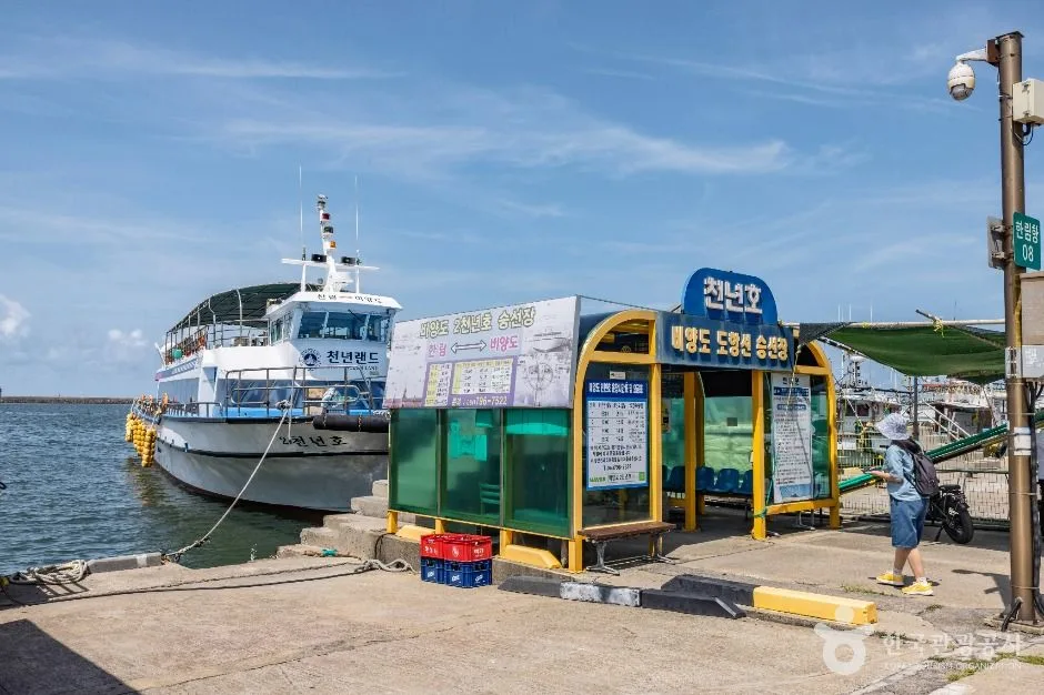 제주_한림항 (3)