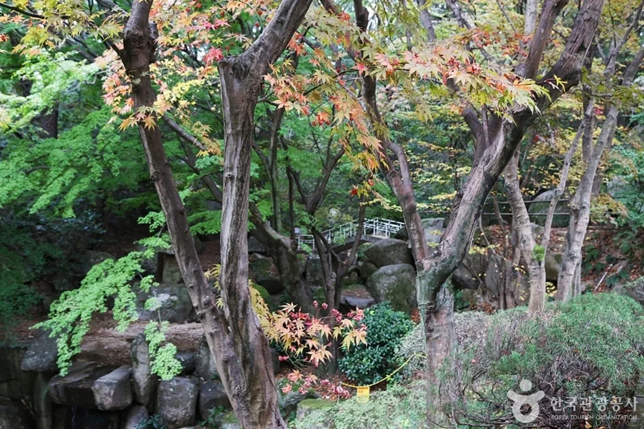 금강식물원 (16)