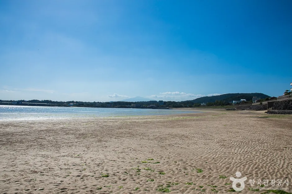 제주_서귀포_신양 섭지해수욕장(15)