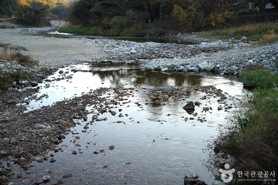 서봉사계곡 마을관리휴양지 (16)