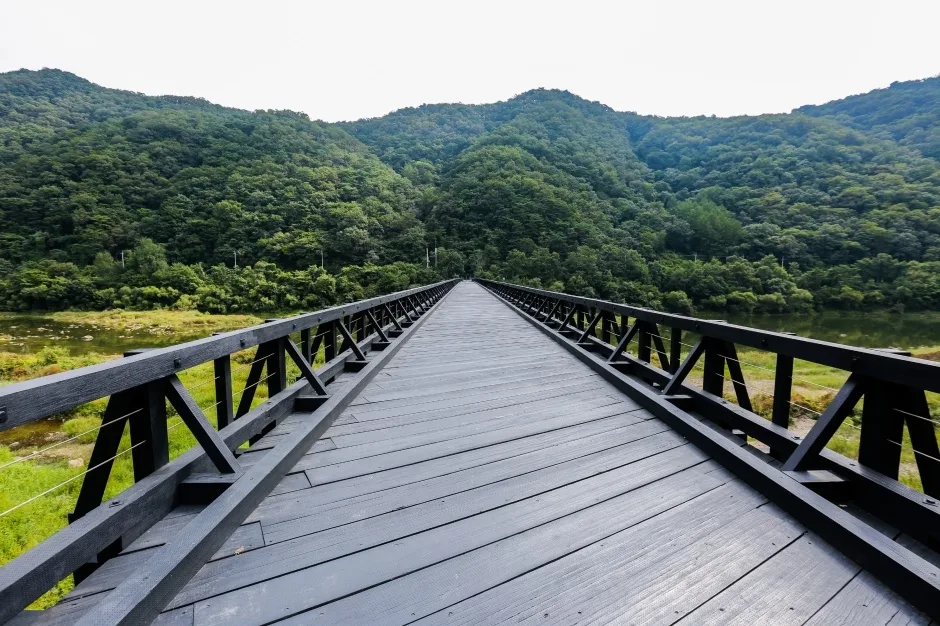 꺼먹다리_9