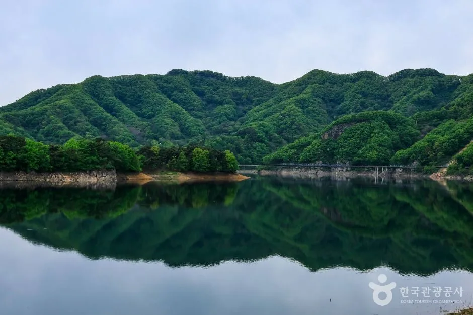 붕어섬 생태공원