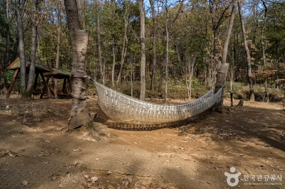판교공원 (8)