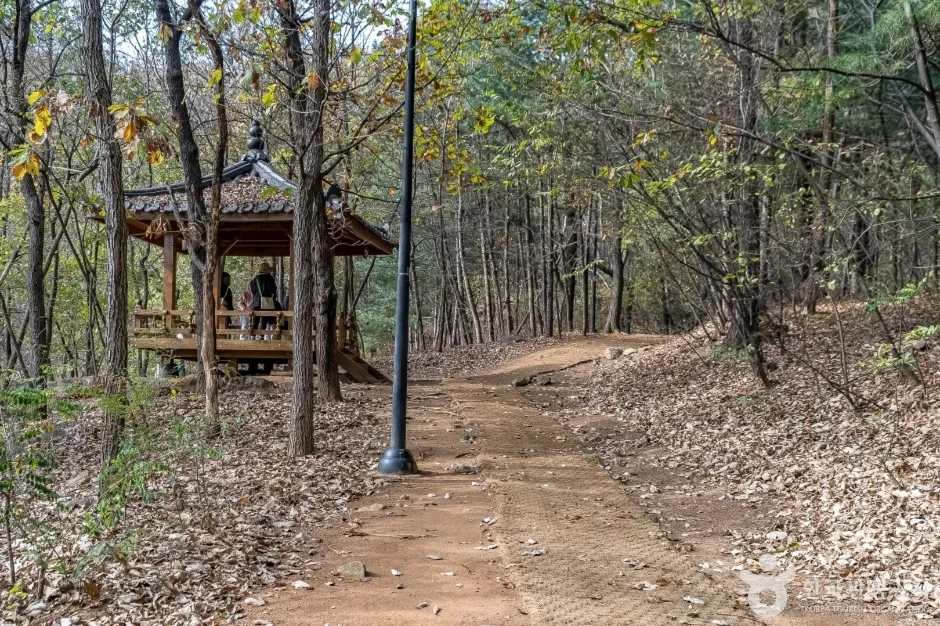 판교공원 (6)