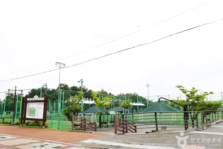 오학체육공원 (7)