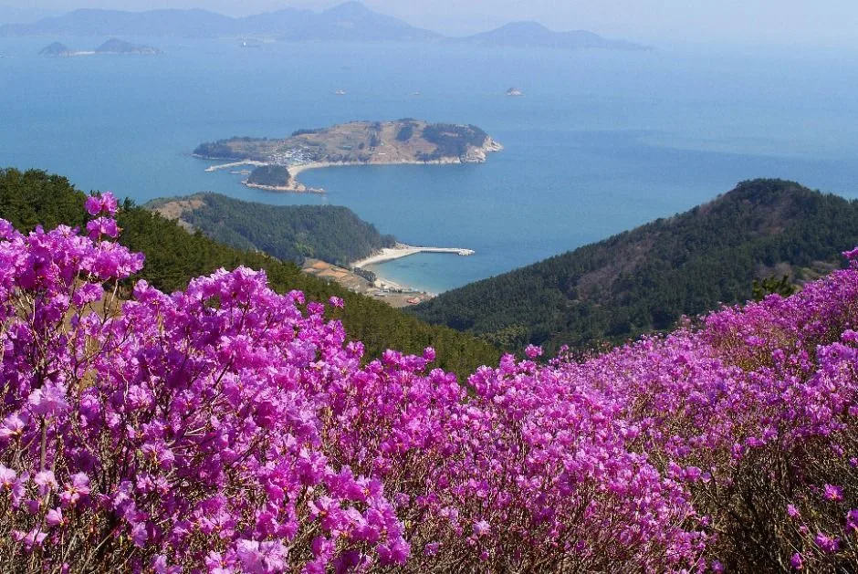 이수도