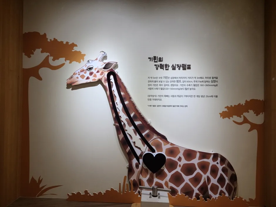 동물의 몸속에  기계가 있어요 (11)