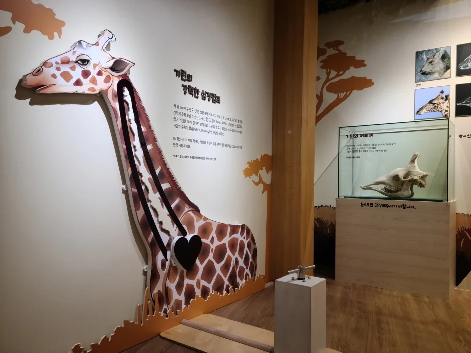 동물의 몸속에  기계가 있어요 (12)