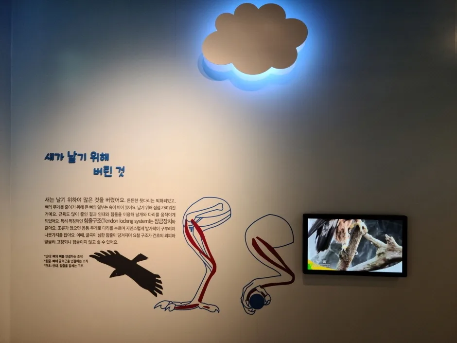 동물의 몸속에  기계가 있어요 (5)