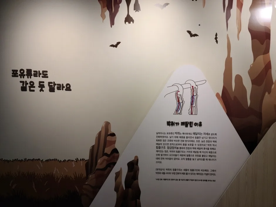 동물의 몸속에  기계가 있어요 (9)
