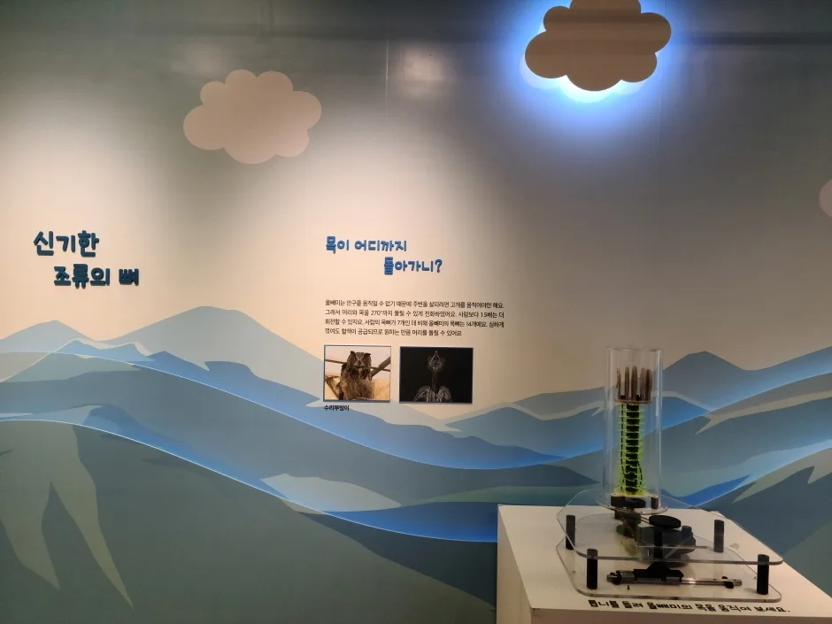 동물의 몸속에  기계가 있어요 (2)