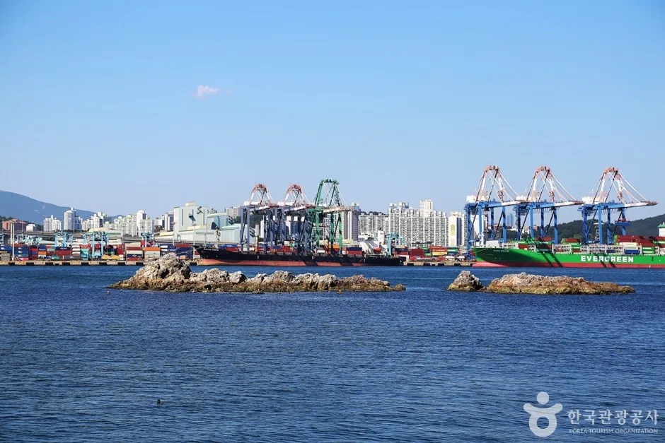 청학 수변공원 (3)