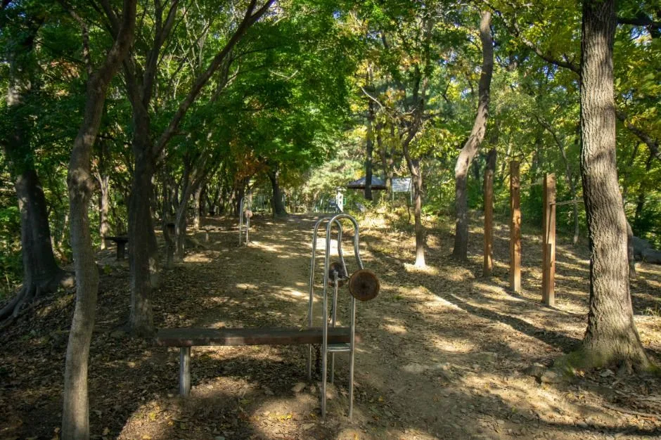 청주_우암산 (5)