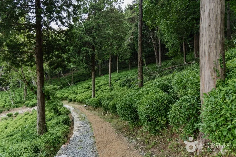 사천_다솔사(경남) (5)