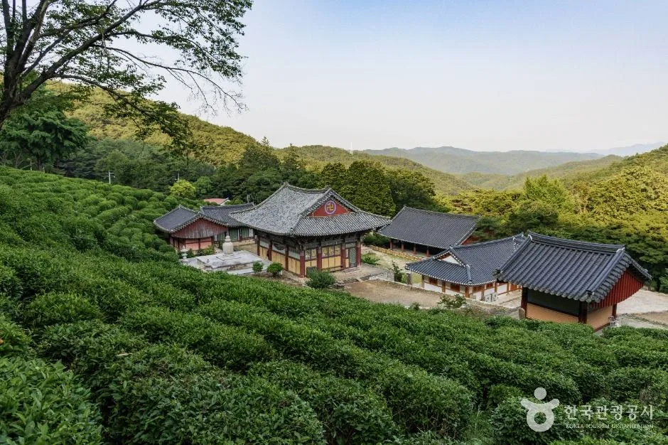 사천_다솔사(경남) (4)
