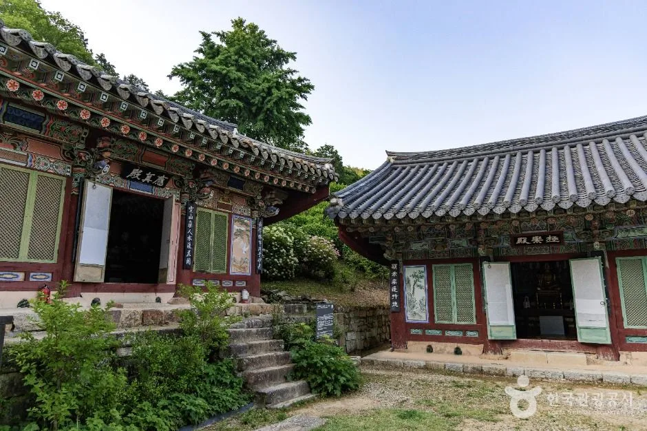사천_다솔사(경남) (2)