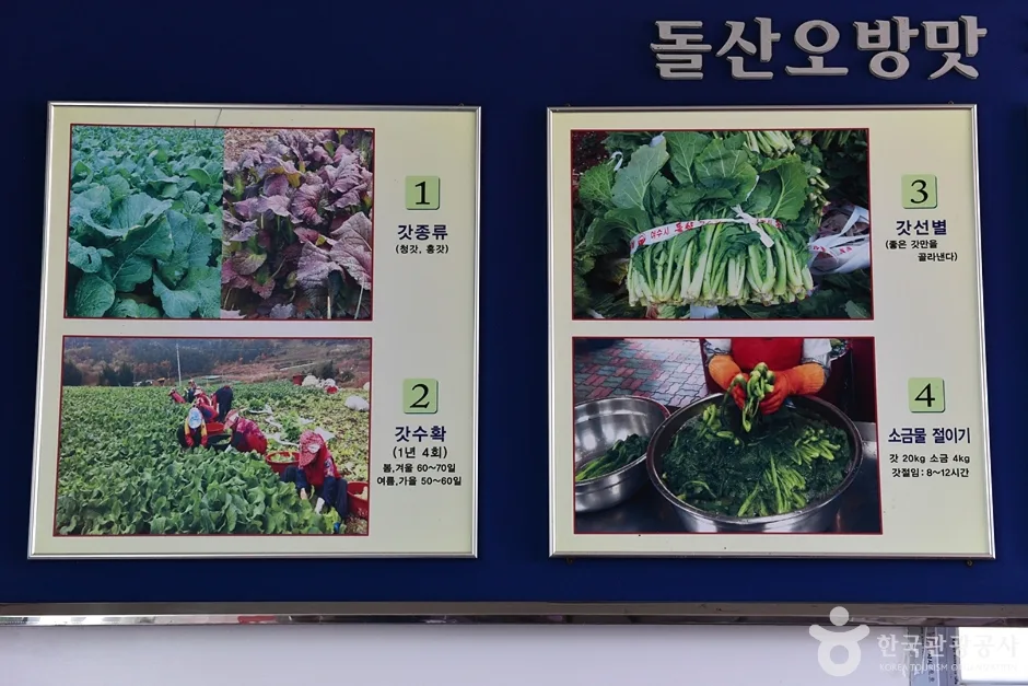 전남_여수_돌산갓 장터마을 (4)