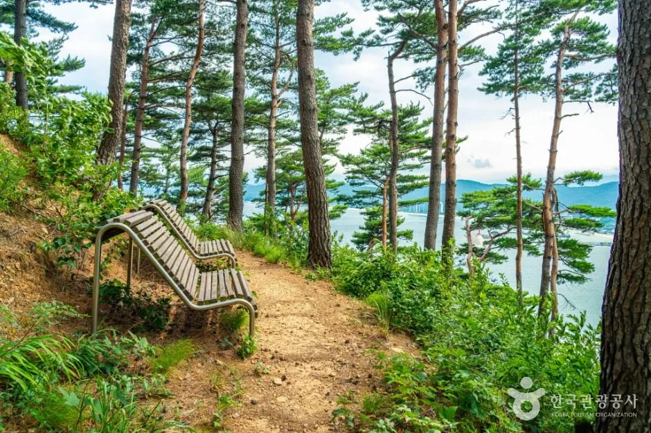 강원고성_거진등대해맞이공원 (7)