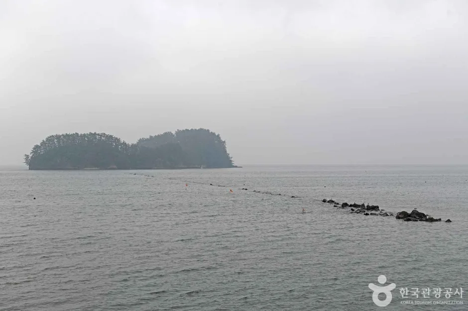 비인 선도리 쌍도해변 (5)