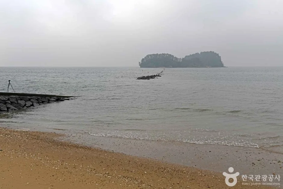 비인 선도리 쌍도해변 (6)