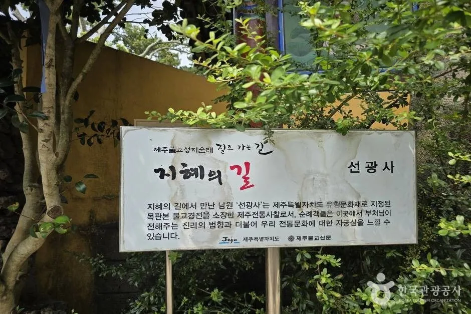 선광사(제주)_e (6)