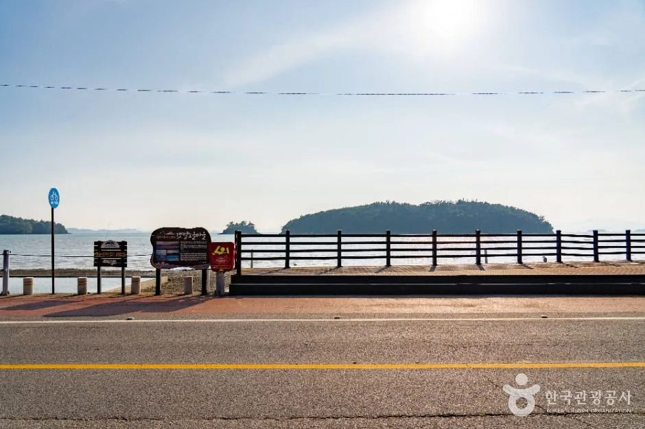 여수_여자만갯벌 (5)