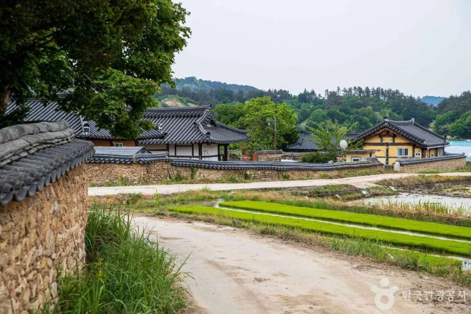 황산마을옛돌담길 (4)