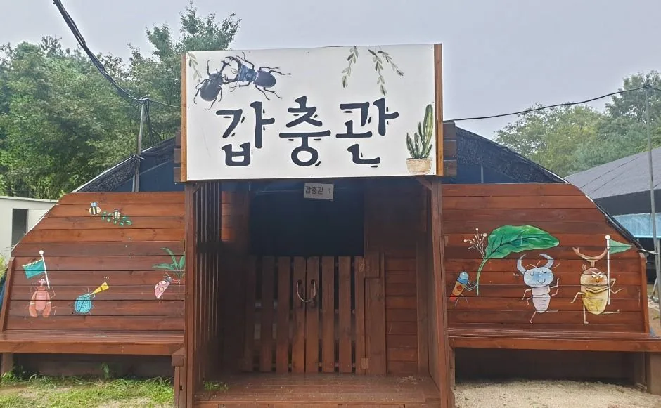 양평_두물머리생태학교 (1)