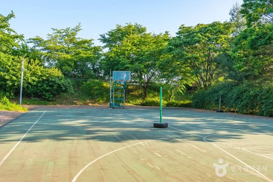 평택_금암체육공원 (3)