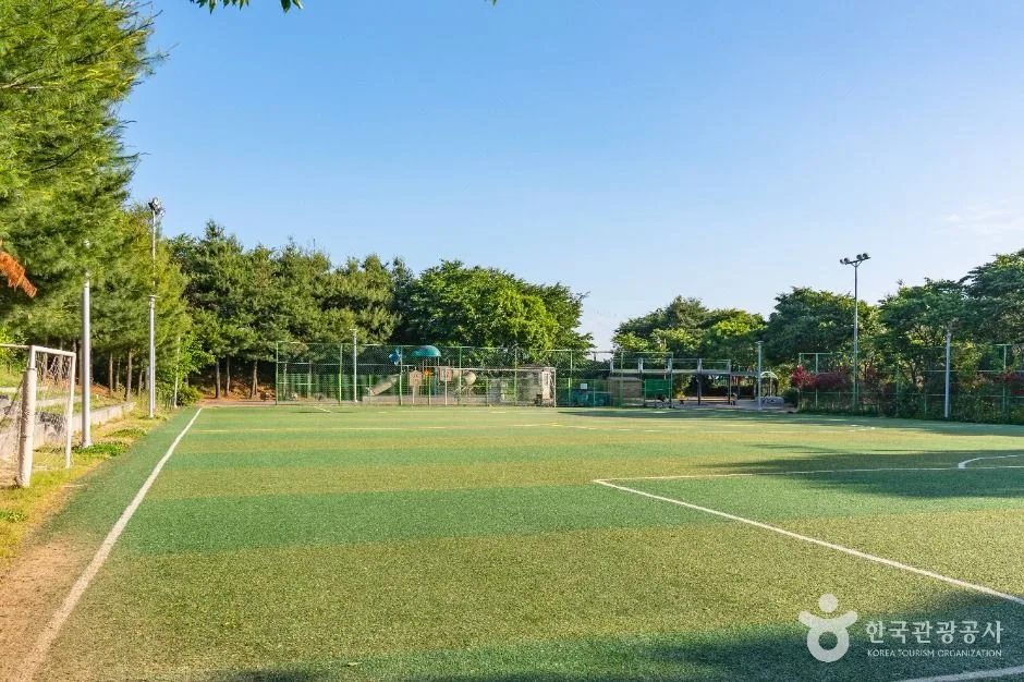 서탄금암체육공원
