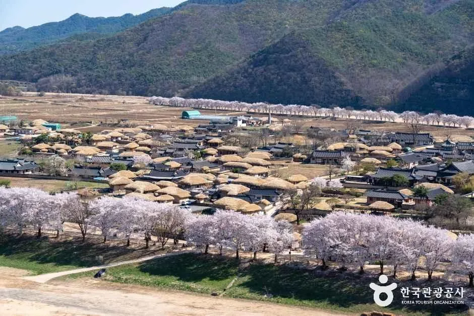 경북_안동_하회마을_내부_01.jpg