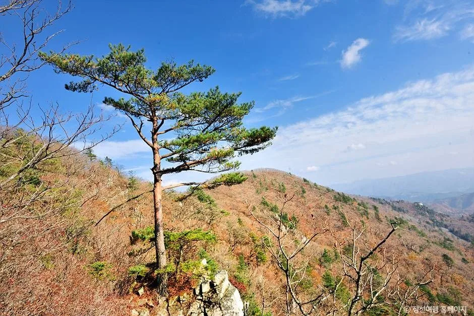 정선_노추산 (3)