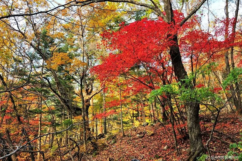 정선_노추산 (4)