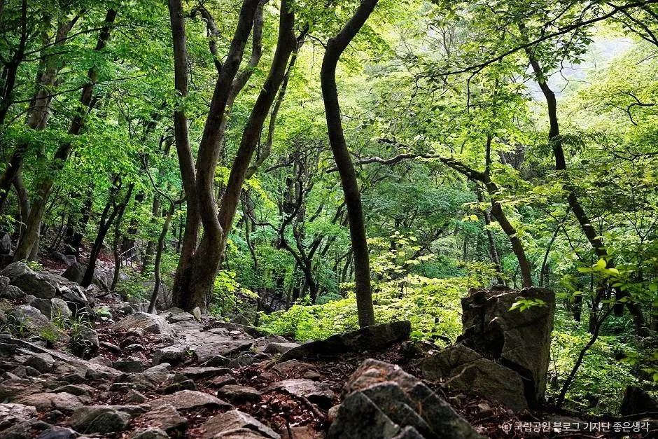 계룡산국립공원 (4)