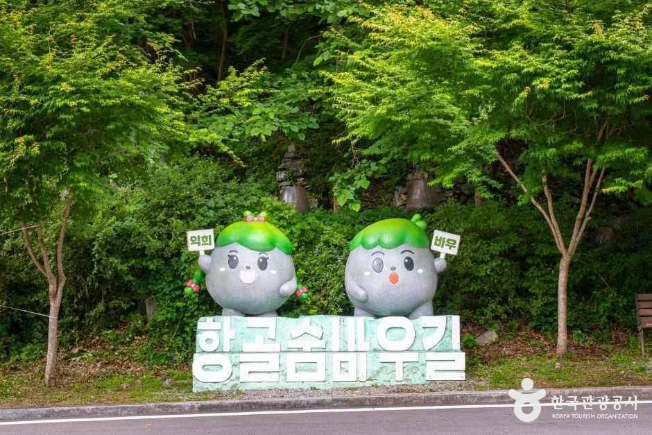 강원_정선_항골계곡_외부_1.jpg