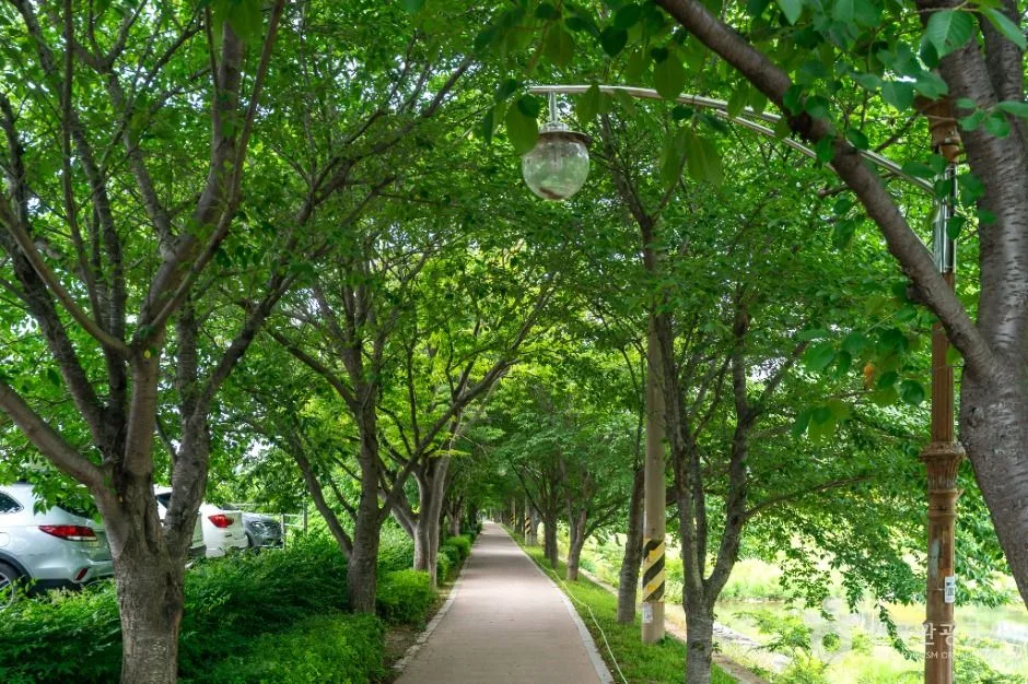 거제_독봉산 웰빙공원 (2)