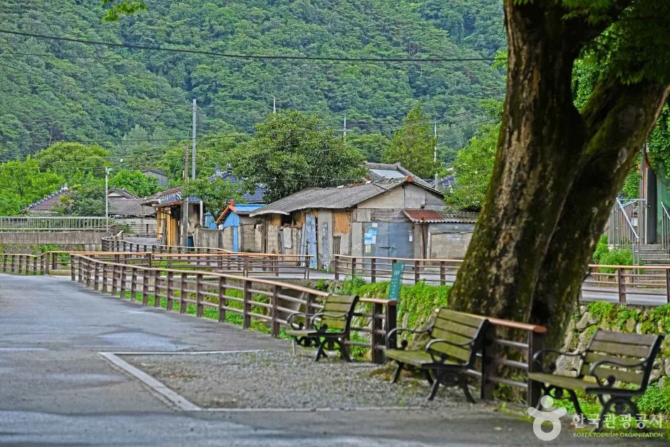 담양_담양 도래수마을 (3)