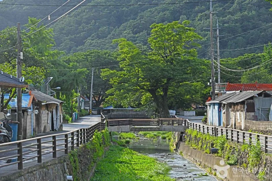 담양_담양 도래수마을 (4)