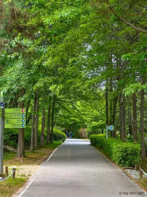 서울 근교 숨은 여행지 오산_물향기수목원_1-9.jpg