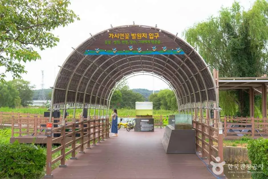 경포가시연습지