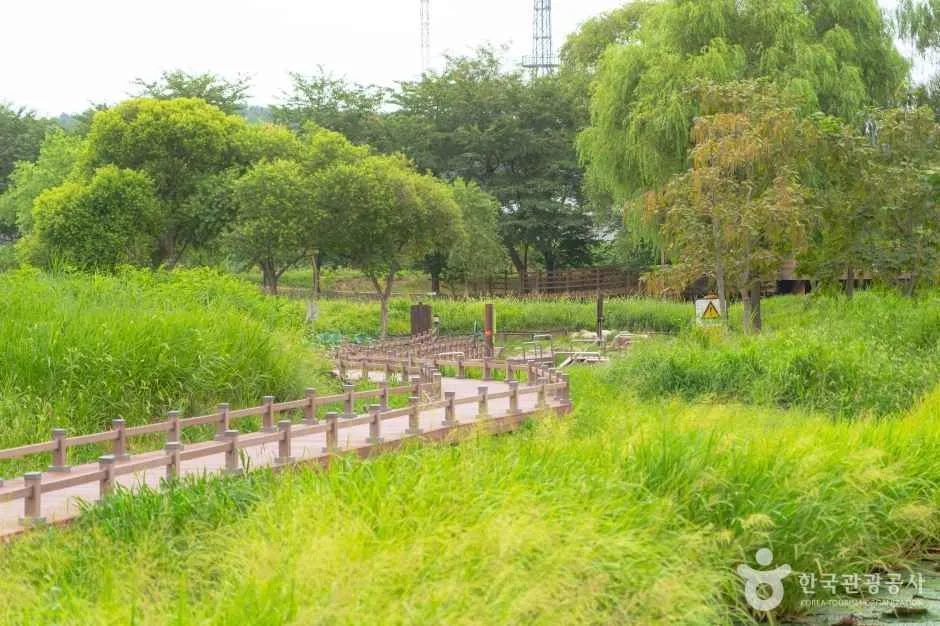 경포가시연습지